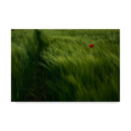 Kovop 'In The Wind Red Flower' Canvas Art,30x47